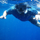 Image for article titled Review: Pentax W60 Waterproof Camera Catching Whale Sharks